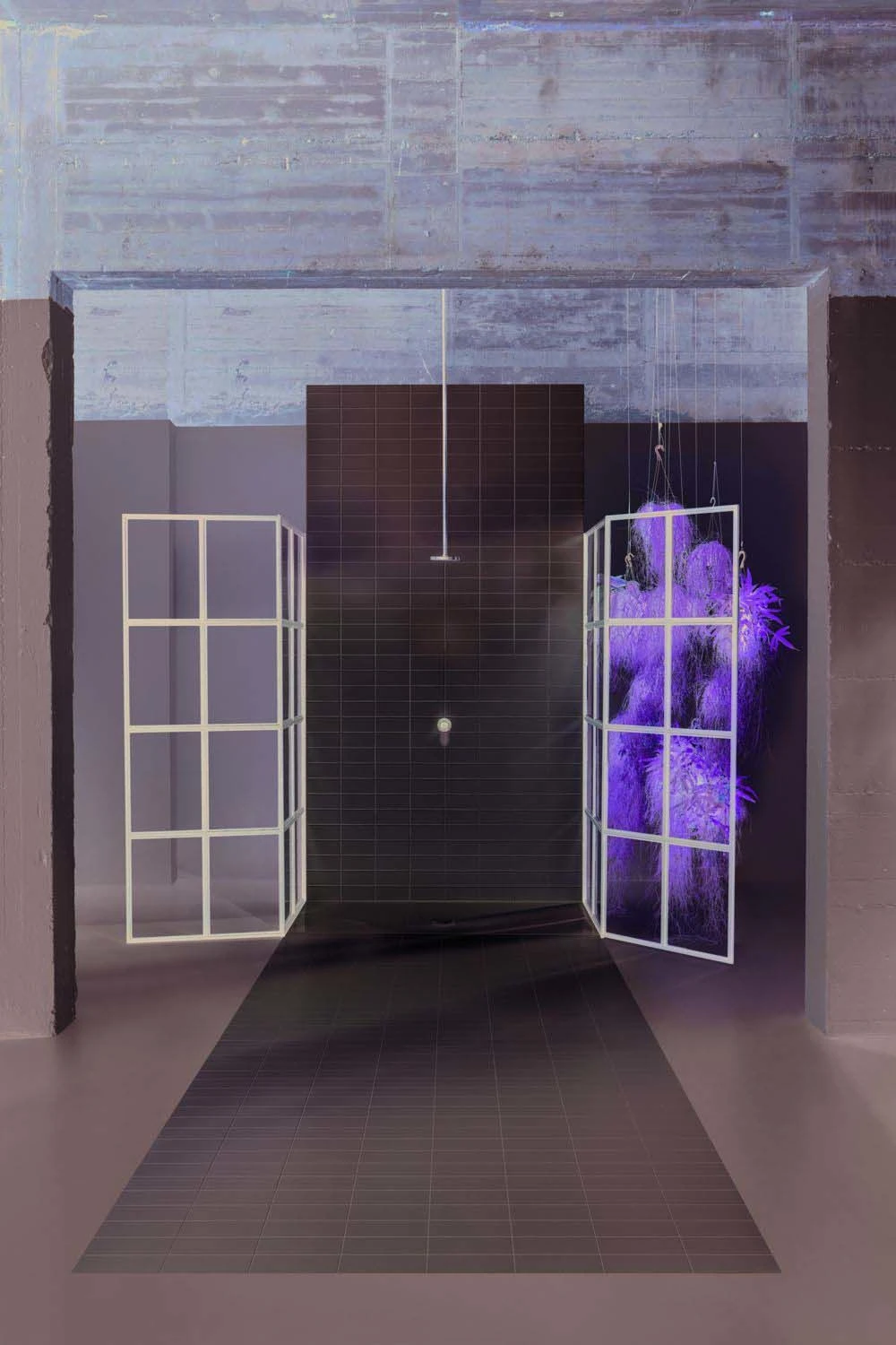 Bette Duschfläche BetteFloor 5969000PLUS 160 X 100 Cm, Weiss, GlasurPlus 7 Bette Duschfläche BetteFloor 5969000PLUS 160 X 100 Cm, Weiss, GlasurPlus – Bild 7