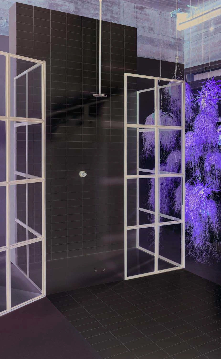 Bette Duschfläche BetteFloor 5969000PLUS 160 X 100 Cm, Weiss, GlasurPlus 10 Bette Duschfläche BetteFloor 5969000PLUS 160 X 100 Cm, Weiss, GlasurPlus – Bild 10