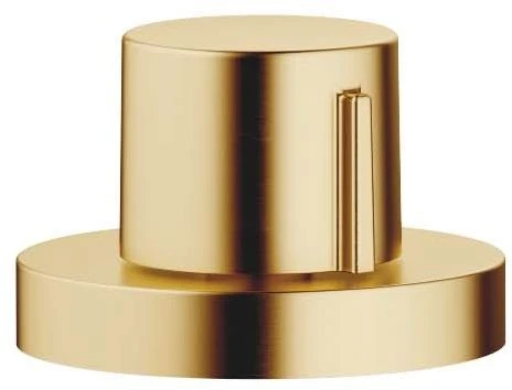 Dornbracht Exzenterbetätigung 10710970-28 Drehknopf Mit Runder Rosette, Messing Gebürstet 1 Dornbracht Exzenterbetätigung 10710970-28 Drehknopf Mit Runder Rosette, Messing Gebürstet