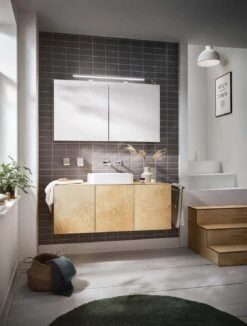 Emco Asis Mee Aufputz-Lichtspiegelschrank 949805053 1200 X 746 Mm, 2-türig, Aluminium 12 Emco Asis Mee Aufputz-Lichtspiegelschrank 949805053 1200 X 746 Mm, 2-türig, Aluminium -VIEGA Verkäufe Emco Asis Mee Aufputz Lichtspiegelschrank 949805053 1200 x 746 mm 2 tuerig Aluminium 4