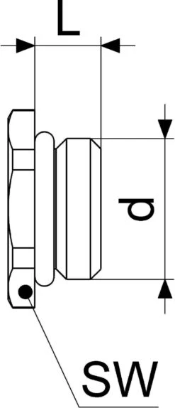 Schlösser Verschlussstopfen 0018360800001 Messing, DN 8, 1/4", Mot O-Ring -VIEGA Verkäufe Schloesser Verschlussstopfen 0018360800001 Messing DN 8 1 4 mot O Ring 1